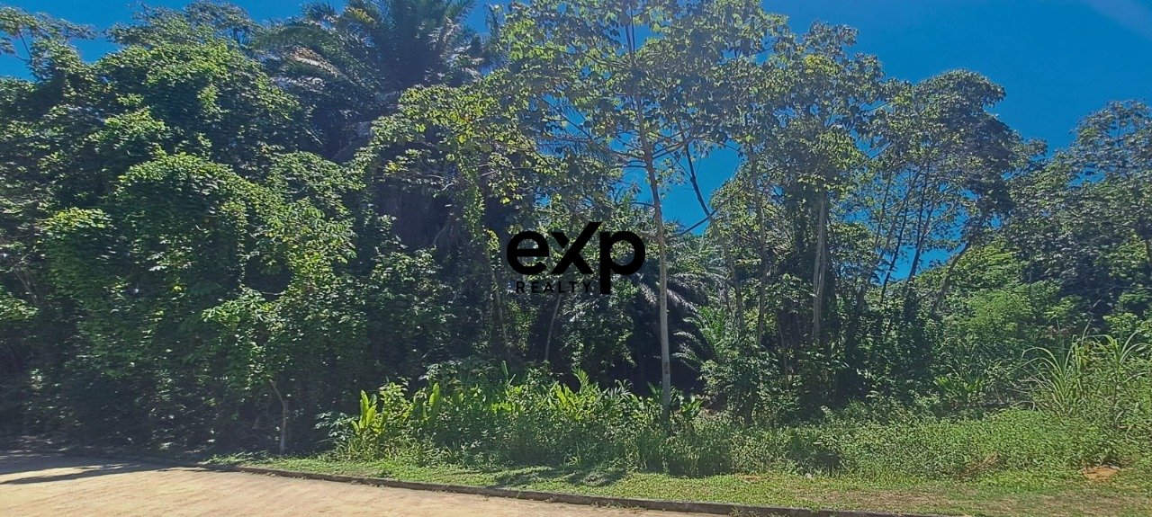 Terreno - Segunda Praia Morro de São Paulo