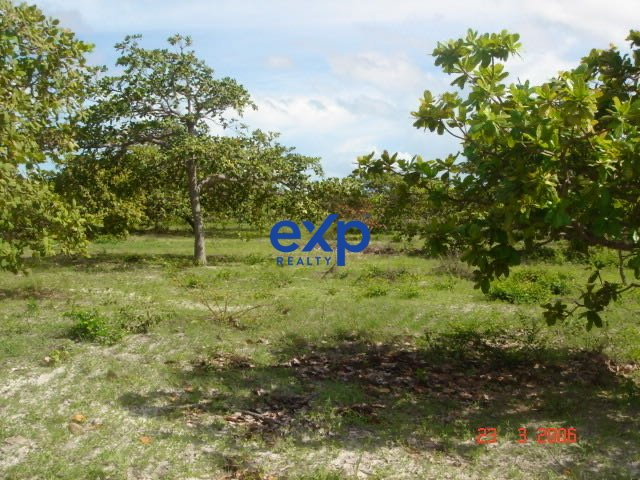Fazenda espetacular na praia de Parajuru, Beberibe, com lago e duna em 62 hectares.