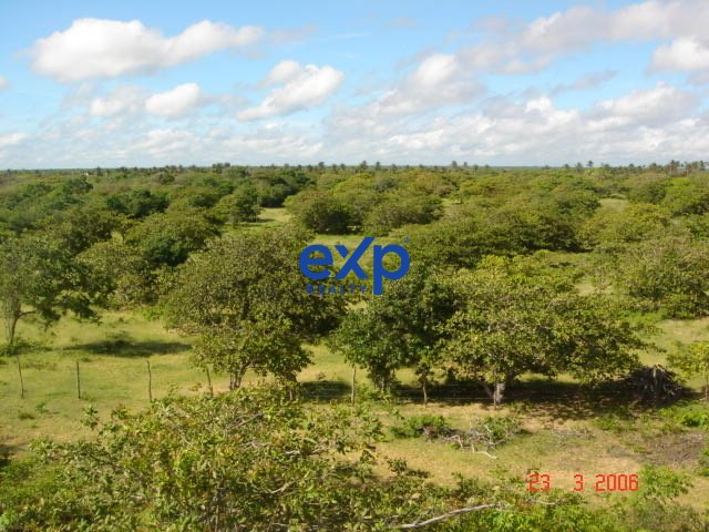 Fazenda espetacular na praia de Parajuru, Beberibe, com lago e duna em 62 hectares.