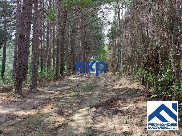 Estate with 9.09 Alqueires - Mairiporã/SP - Only 2 km from Fernão Dias Highway