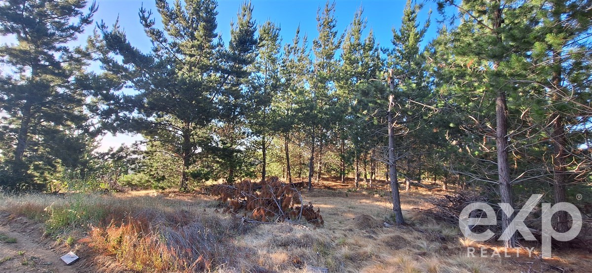 Sitio en Pichilemu