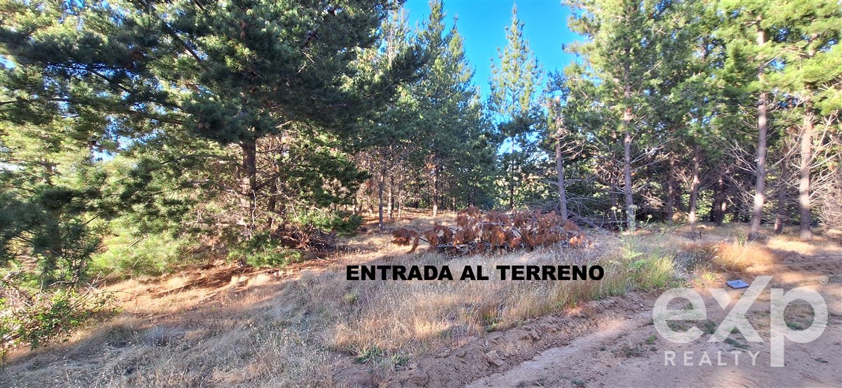 Sitio en Pichilemu