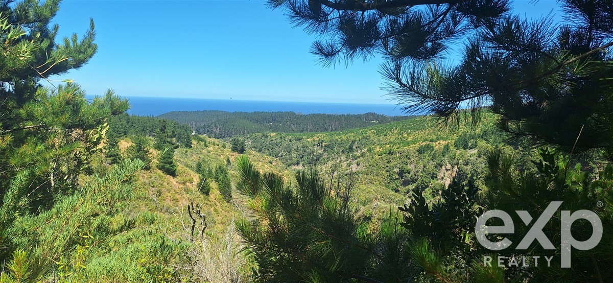Sitio en Pichilemu