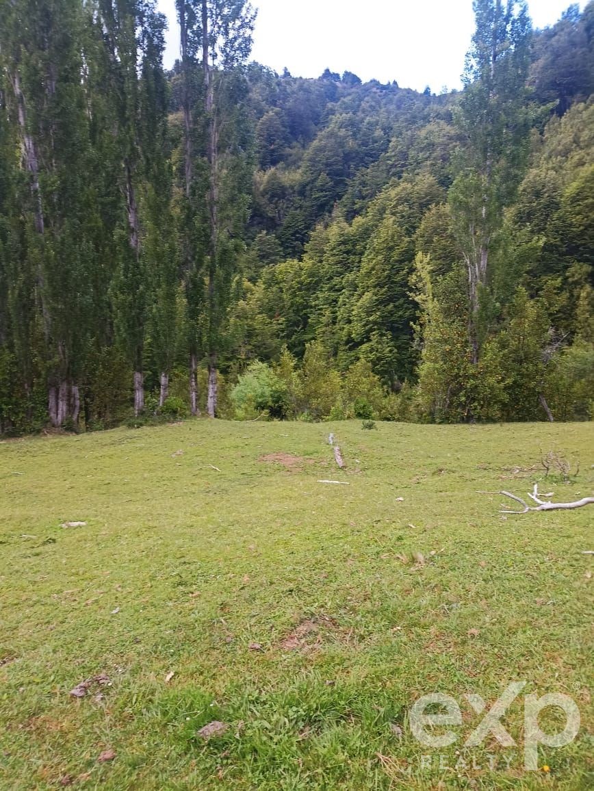 Sitio en Futalefu