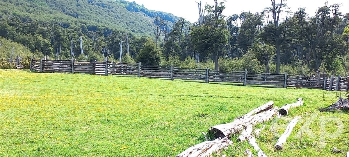 Sitio en Futalefu