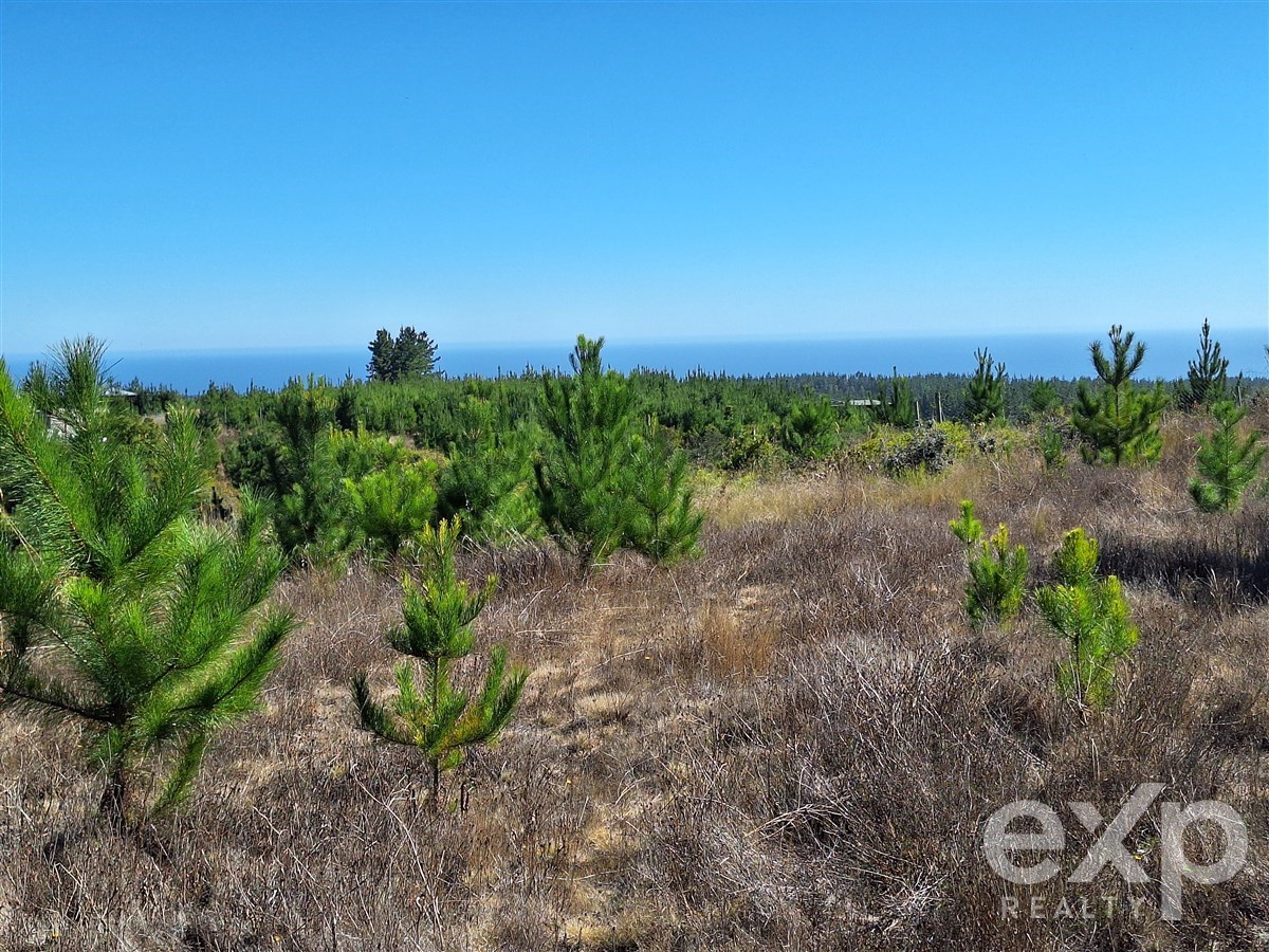 Sitio en Pichilemu