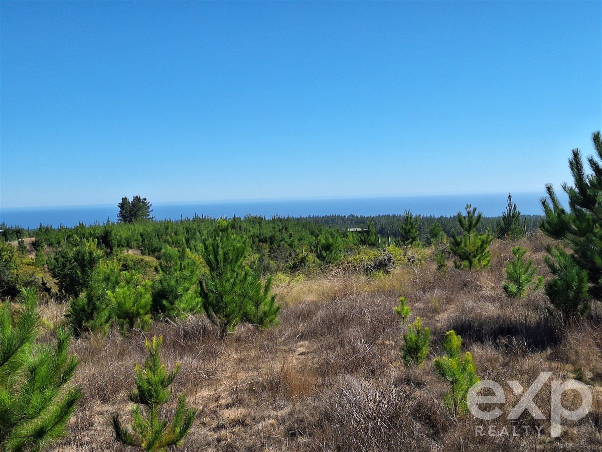 Sitio en Pichilemu