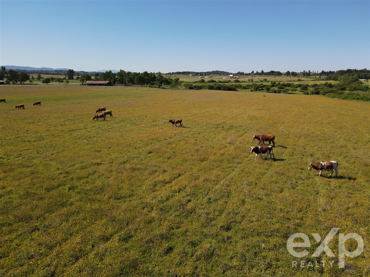 Agrícola en Chillán