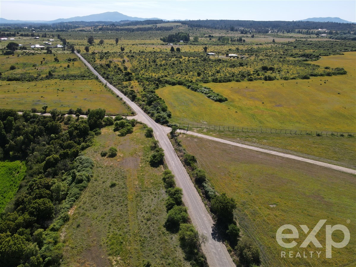 Agrícola en Chillán