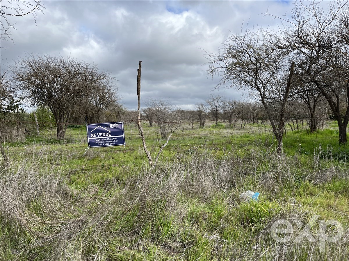 Sitio en Las Cabras