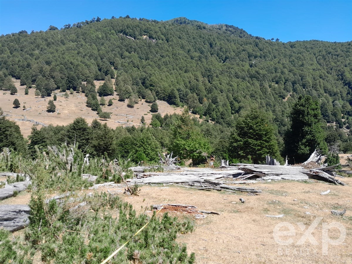 Sitio en venta en Curarrehue, Puela alto