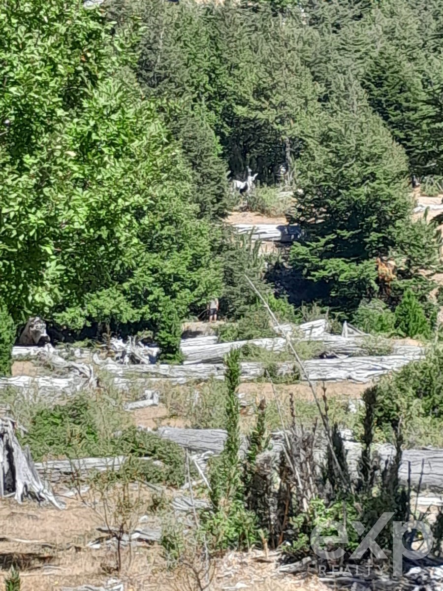 Sitio en venta en Curarrehue, Puela alto