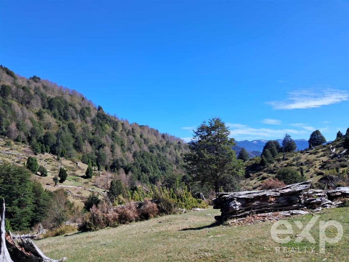 Sitio en venta en Curarrehue, Puela alto