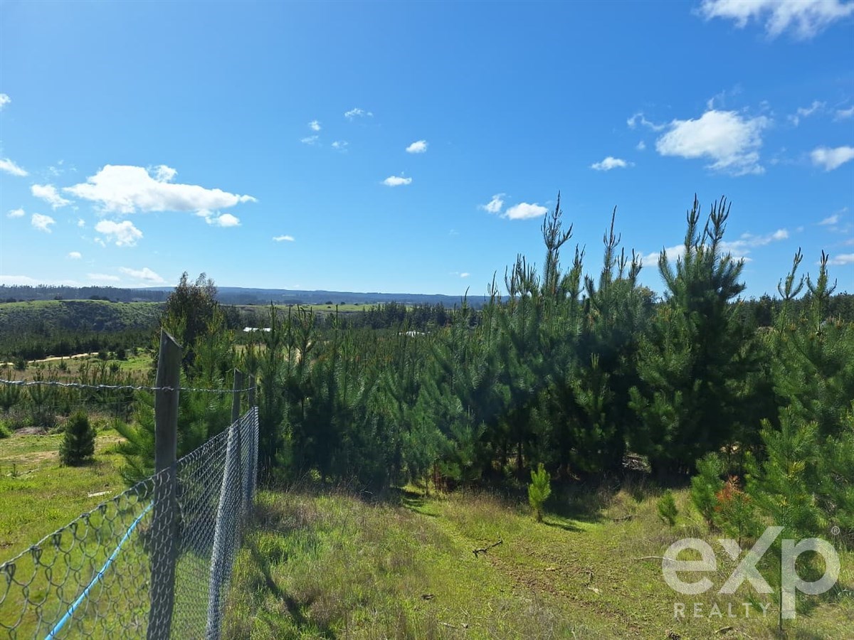 Sitio en Pichilemu