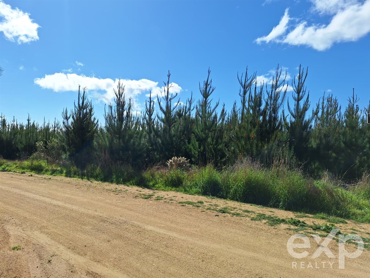 Sitio en Pichilemu
