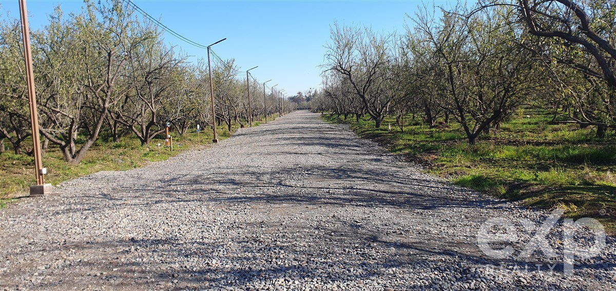 Parcela en Buín