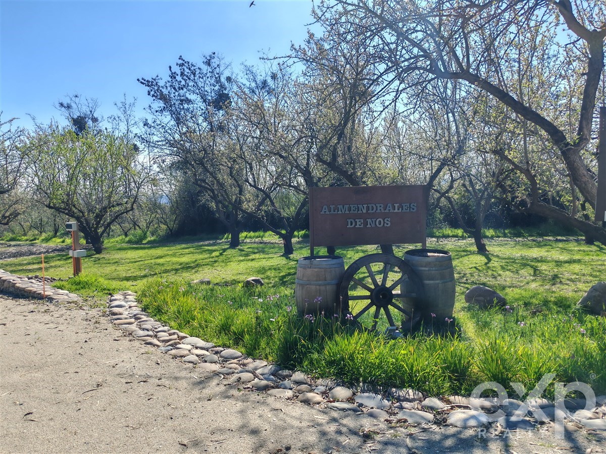 Parcela en Buín