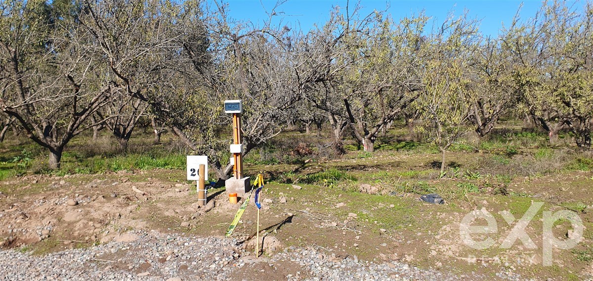 Parcela en Buín