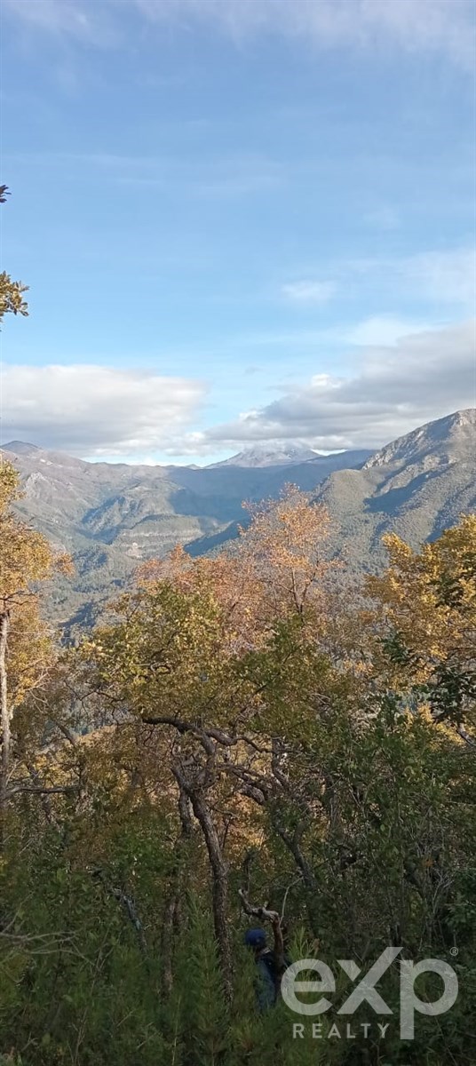 Parcela en San Fabián