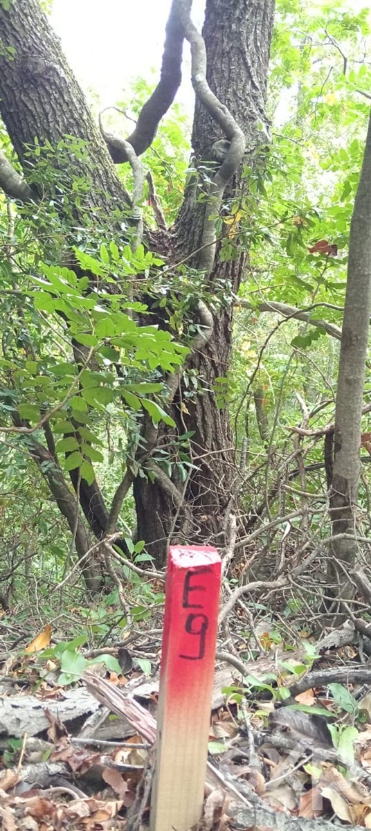 Parcela en San Fabián