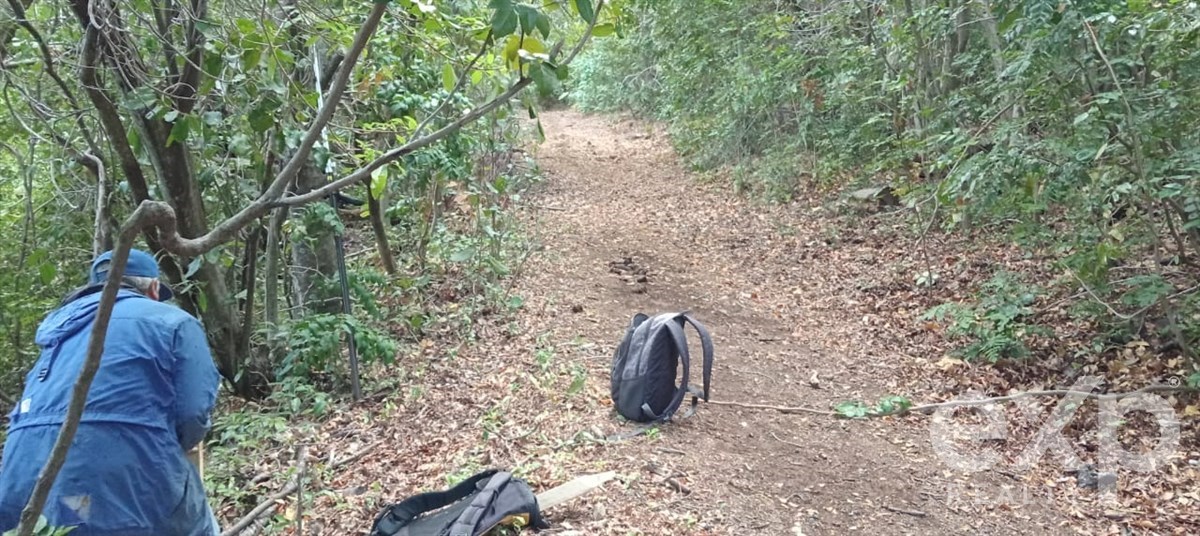 Parcela en San Fabián