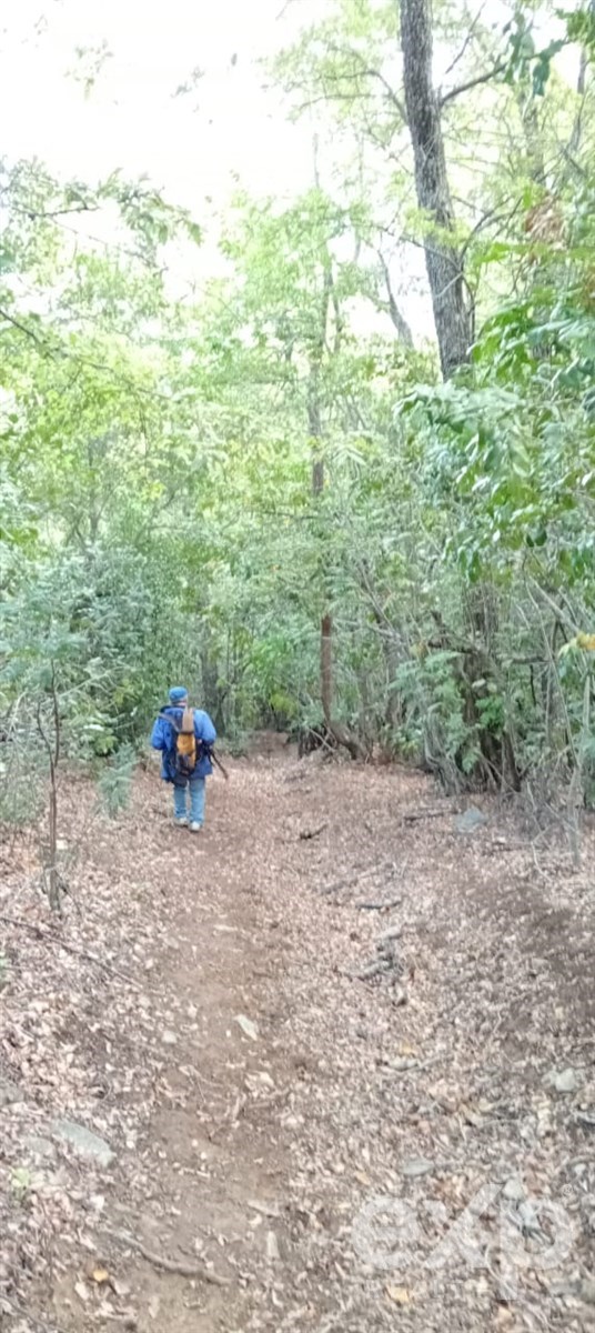 Parcela en San Fabián