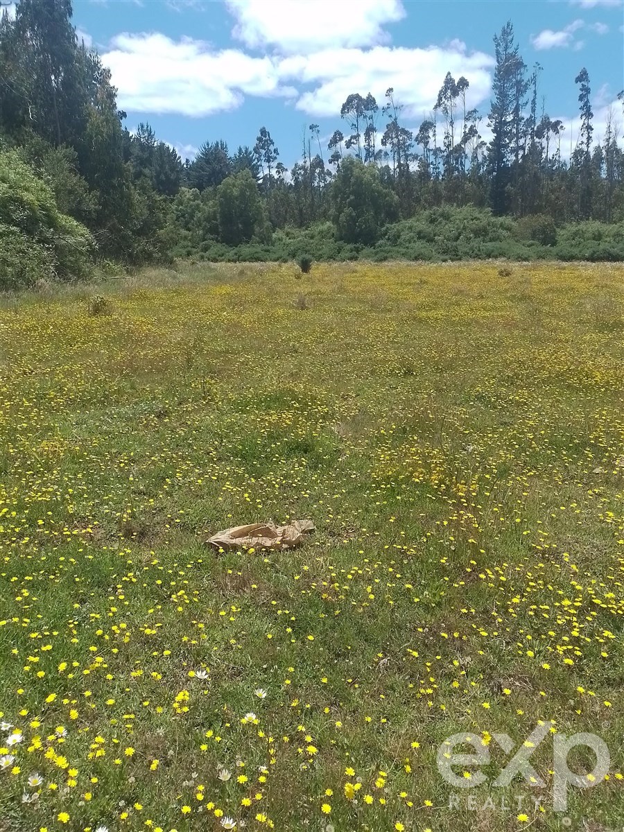 Agrícola en Nueva Imperial