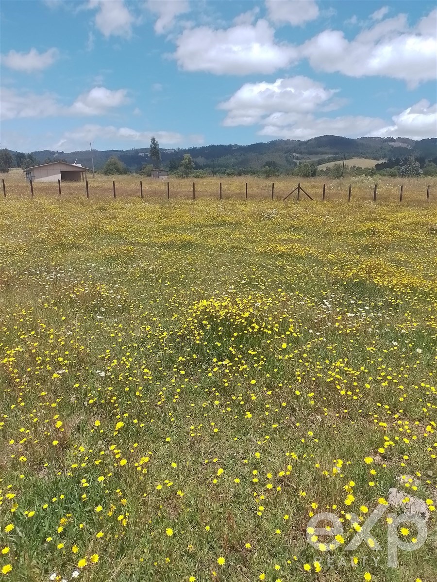 Agrícola en Nueva Imperial