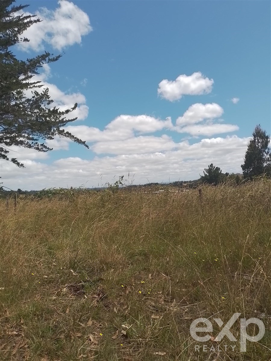 Agrícola en Nueva Imperial