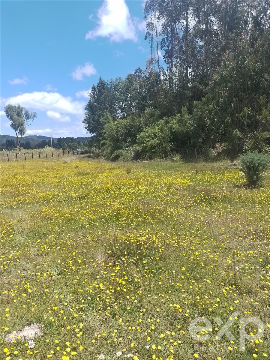 Agrícola en Nueva Imperial