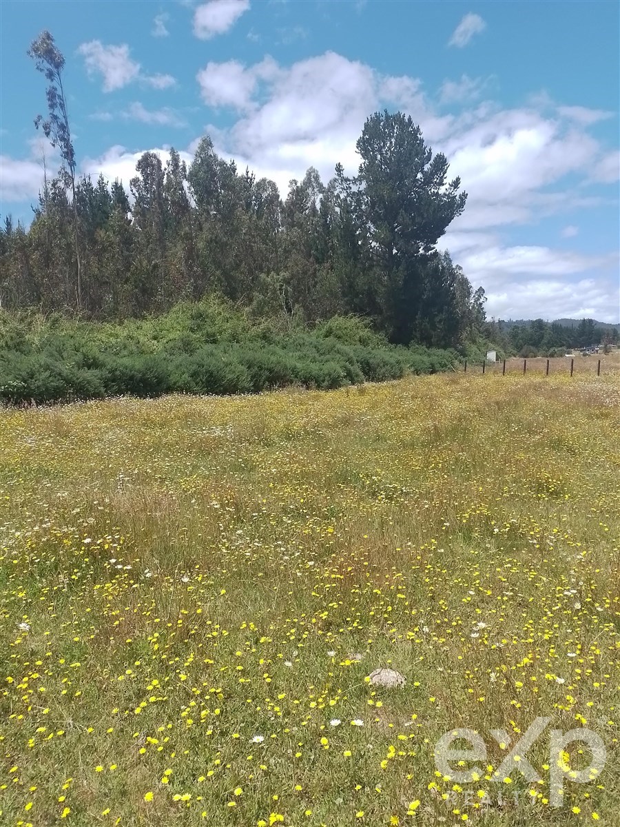 Agrícola en Nueva Imperial