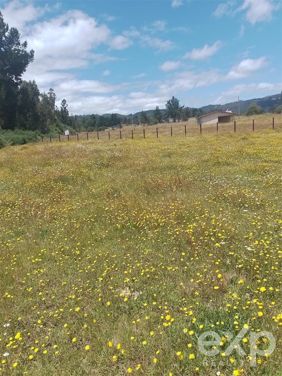 Agrícola en Nueva Imperial