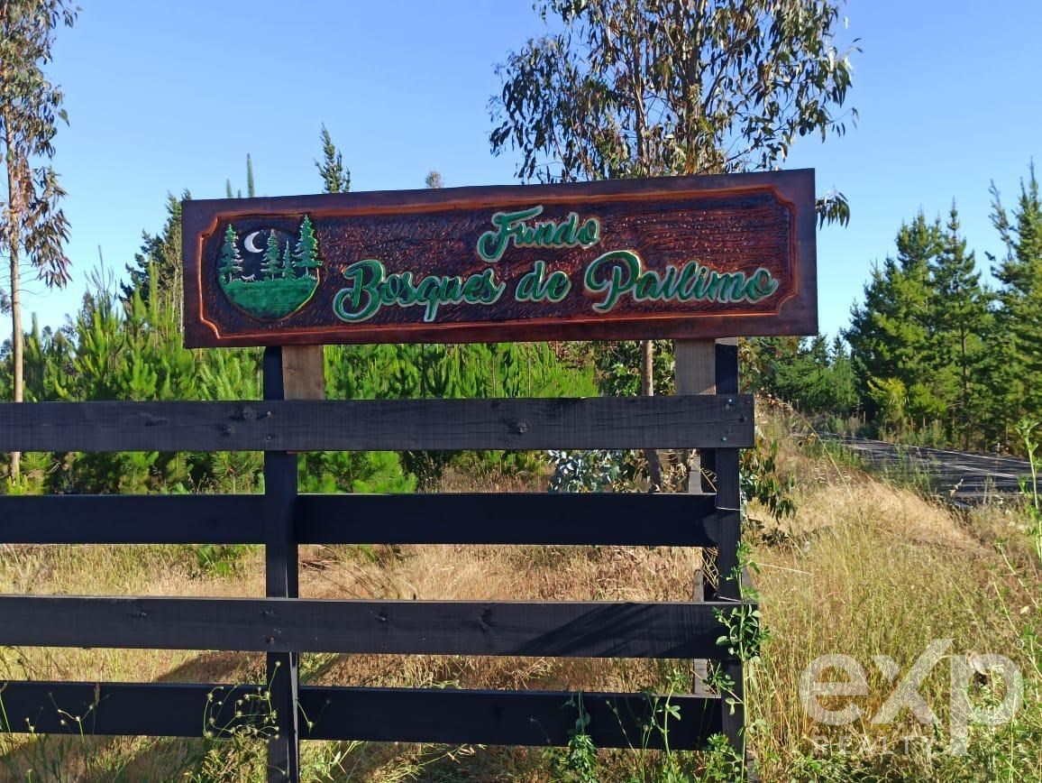 Parcela en Litueche