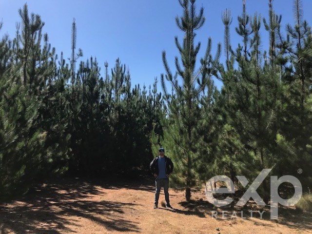 Sitio en Constitución