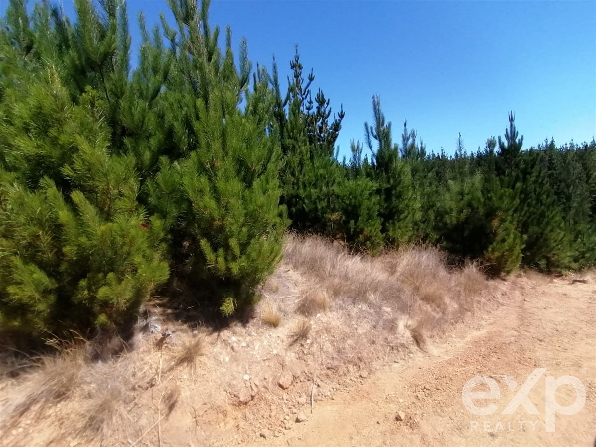 Sitio en Pichilemu