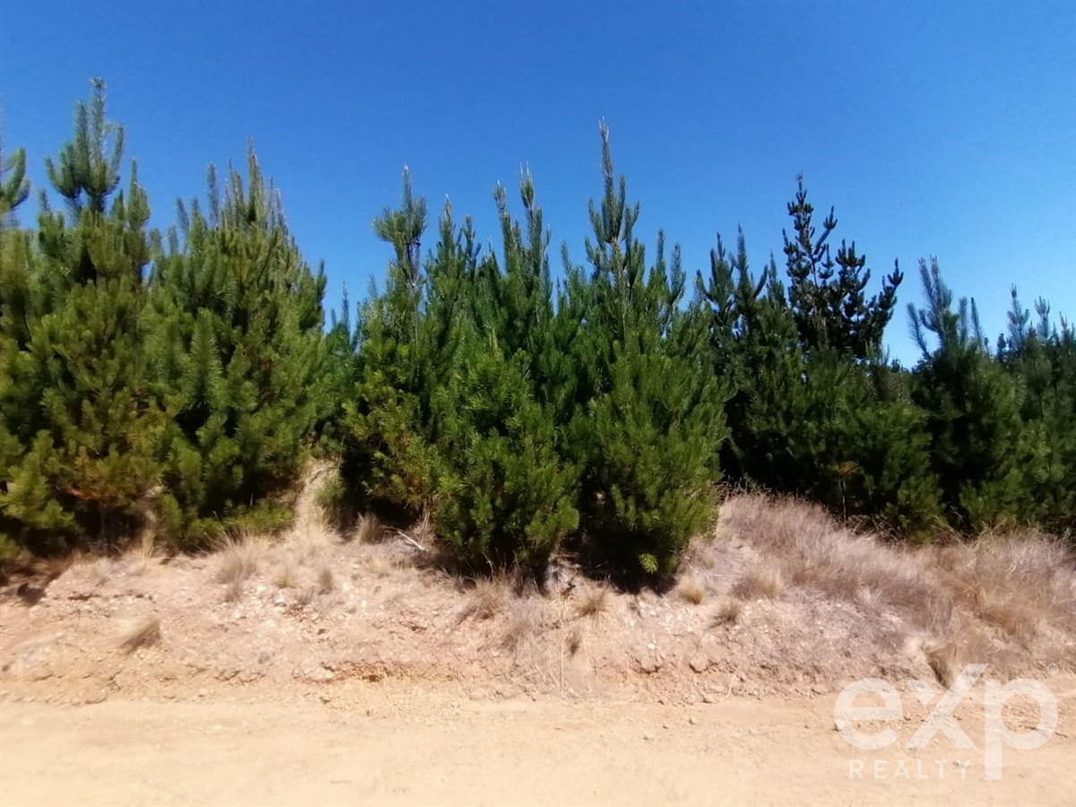 Sitio en Pichilemu