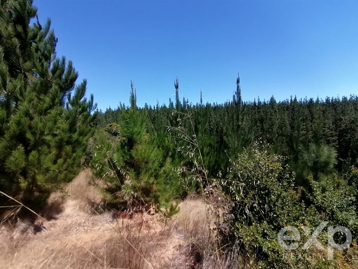 Sitio en Pichilemu