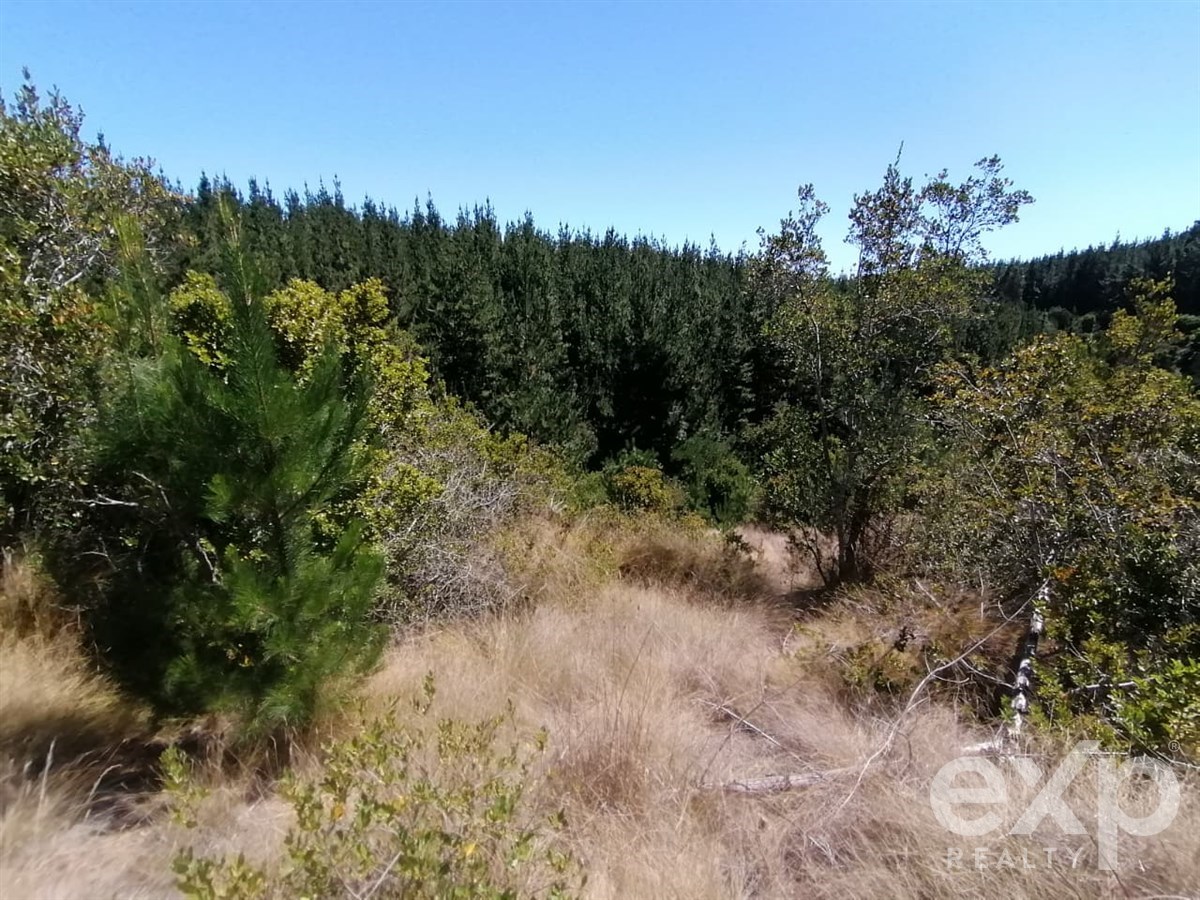 Sitio en Pichilemu