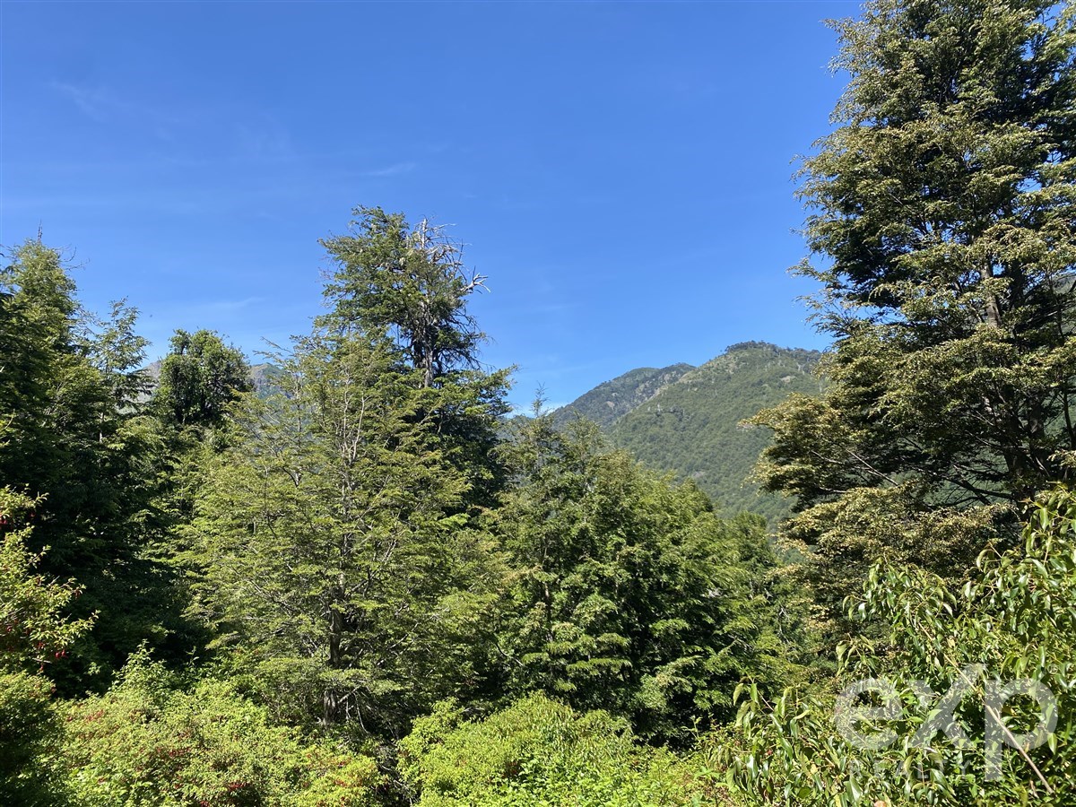 Sitio en Pucón