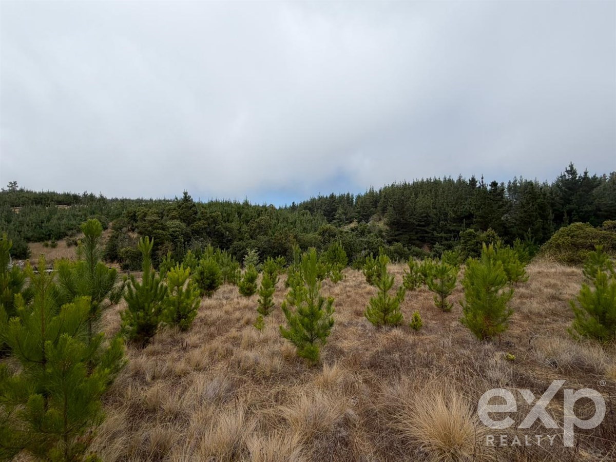 Sitio en Pichilemu