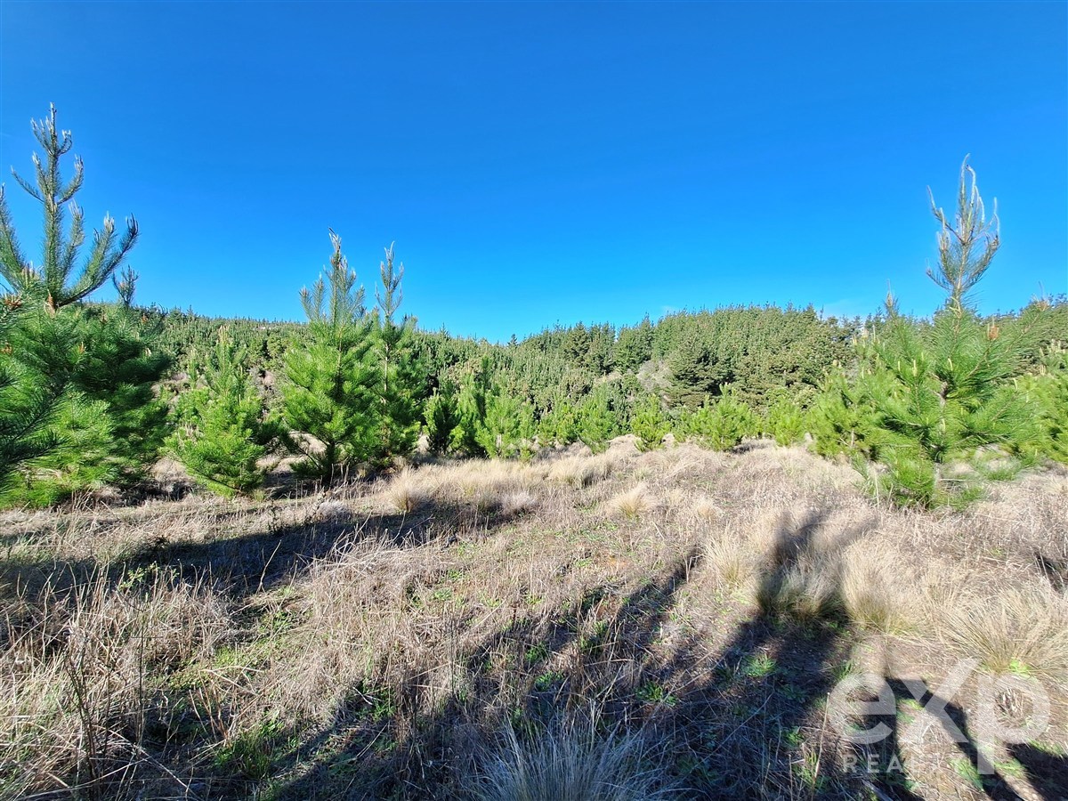 Site for sale in Pichilemu, Lote 132
