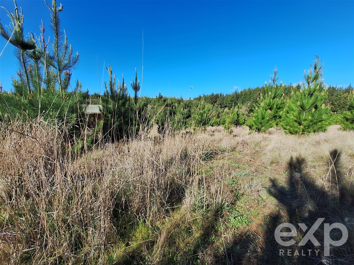 Site for sale in Pichilemu, Lote 132