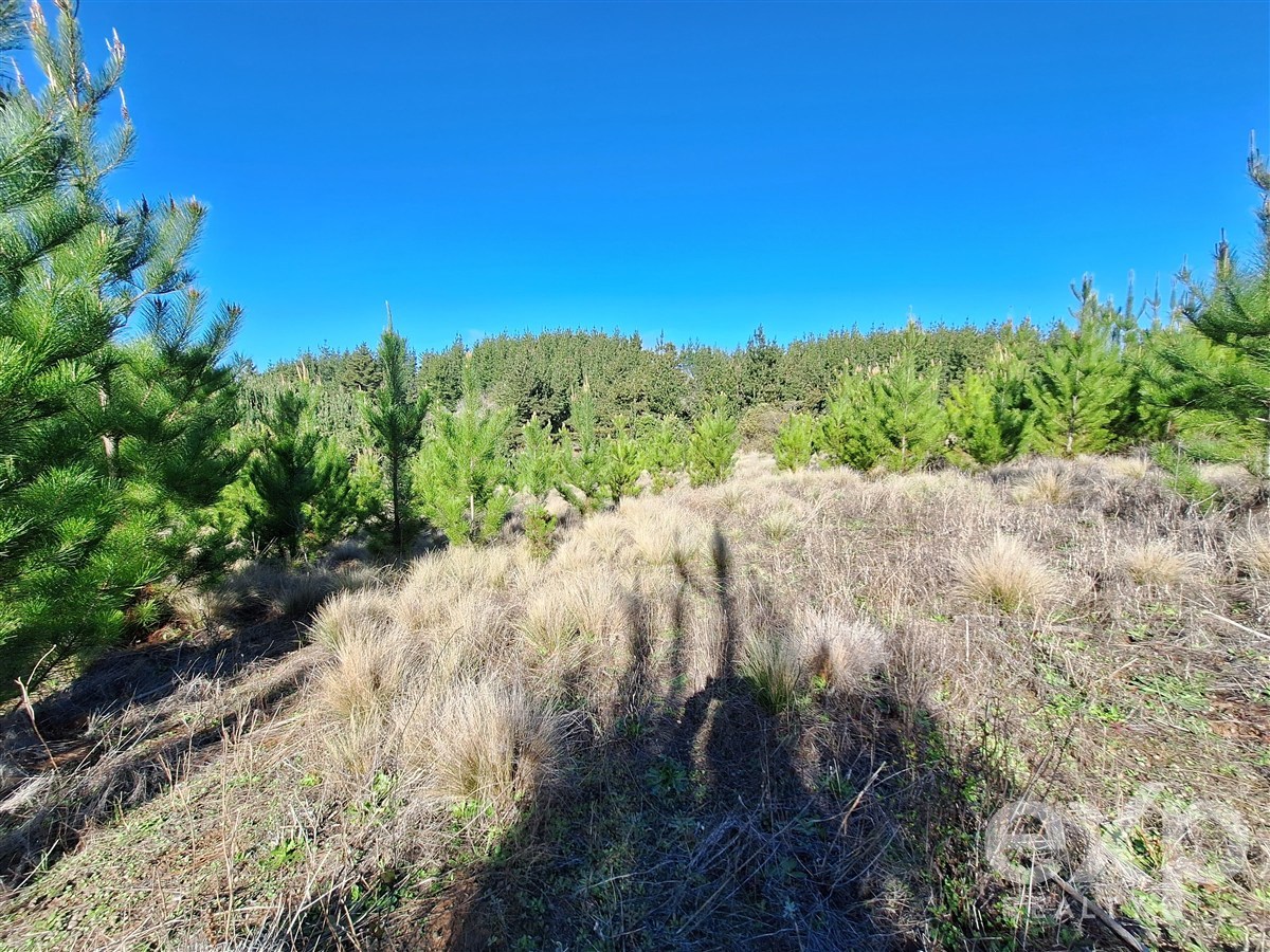 Site for sale in Pichilemu, Lote 132