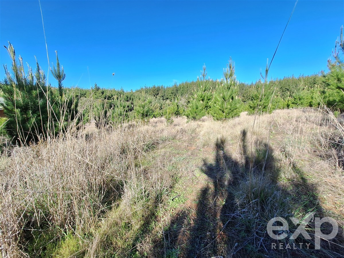 Site for sale in Pichilemu, Lote 132