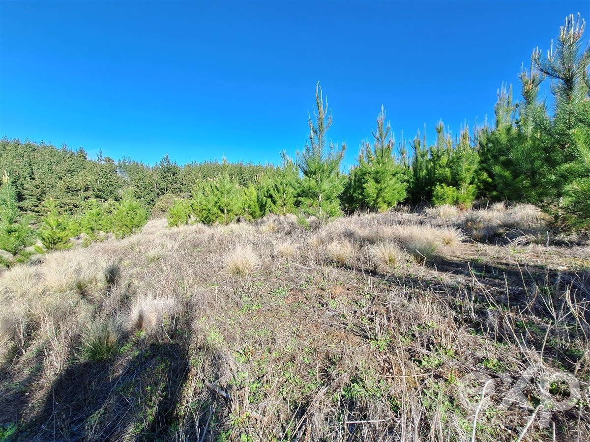 Site for sale in Pichilemu, Lote 132
