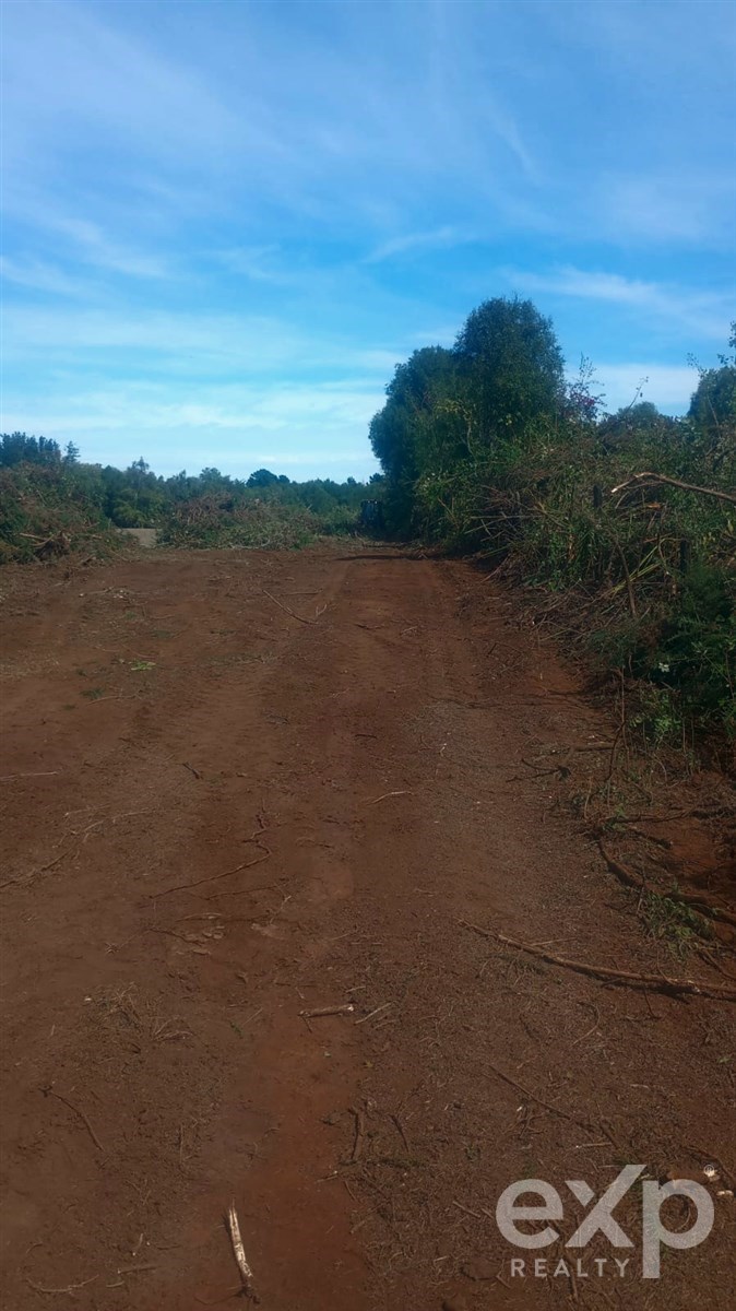 Parcela en Perquenco