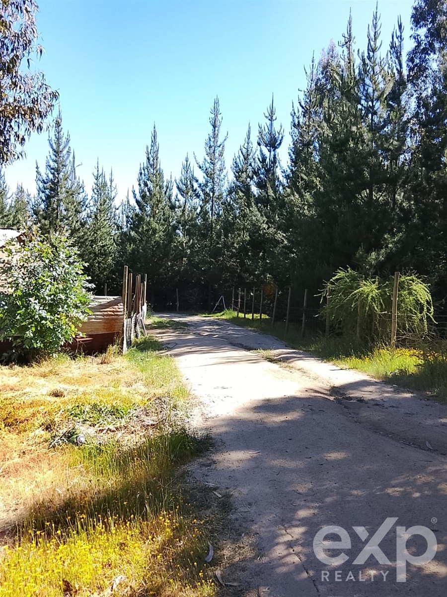 Sitio en Litueche