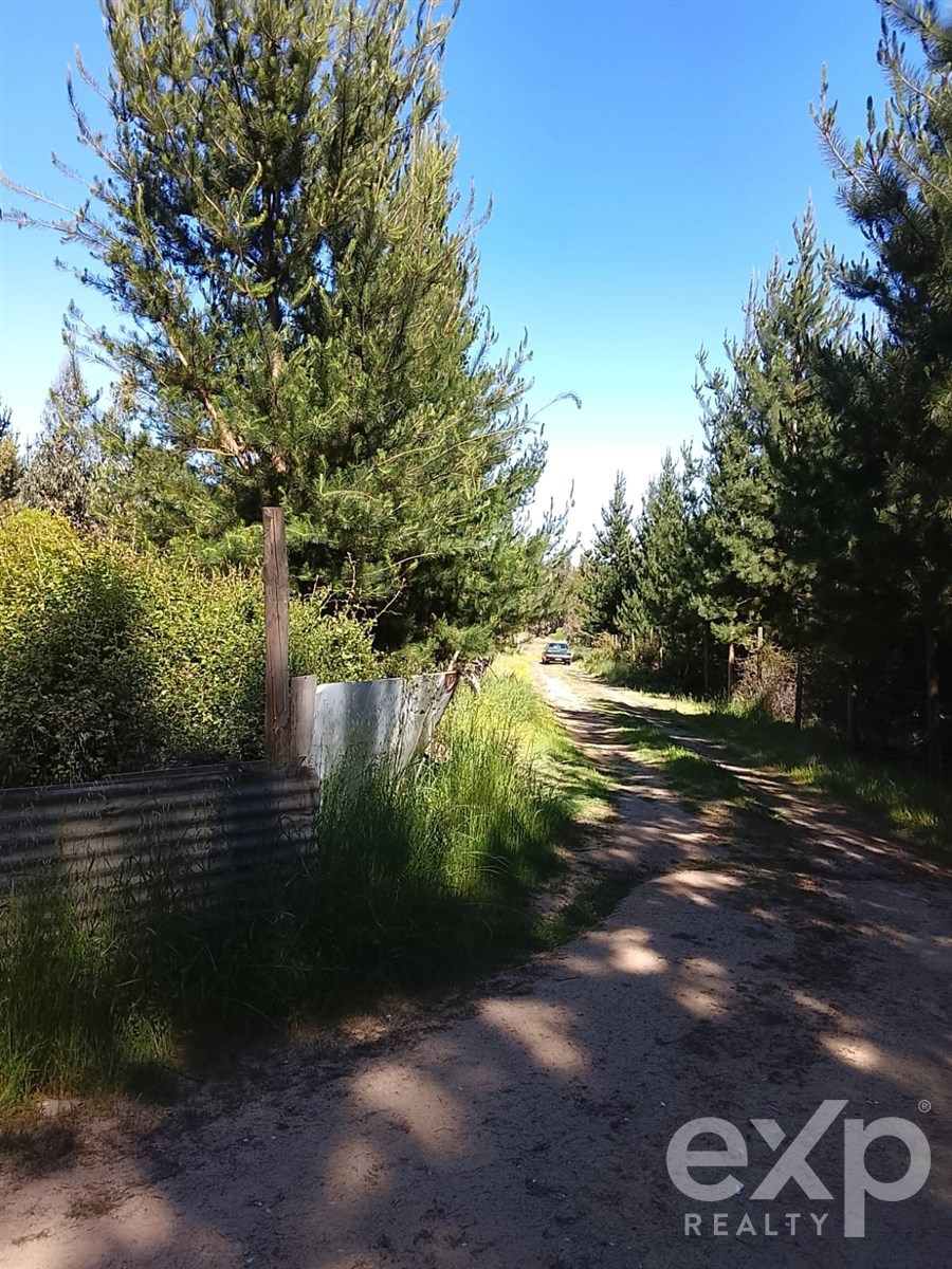 Sitio en Litueche