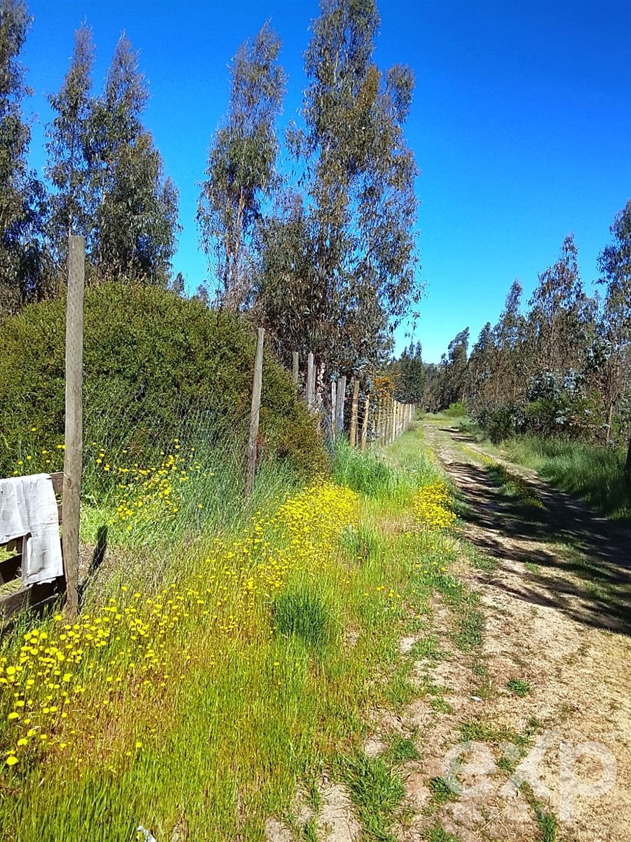 Sitio en Litueche