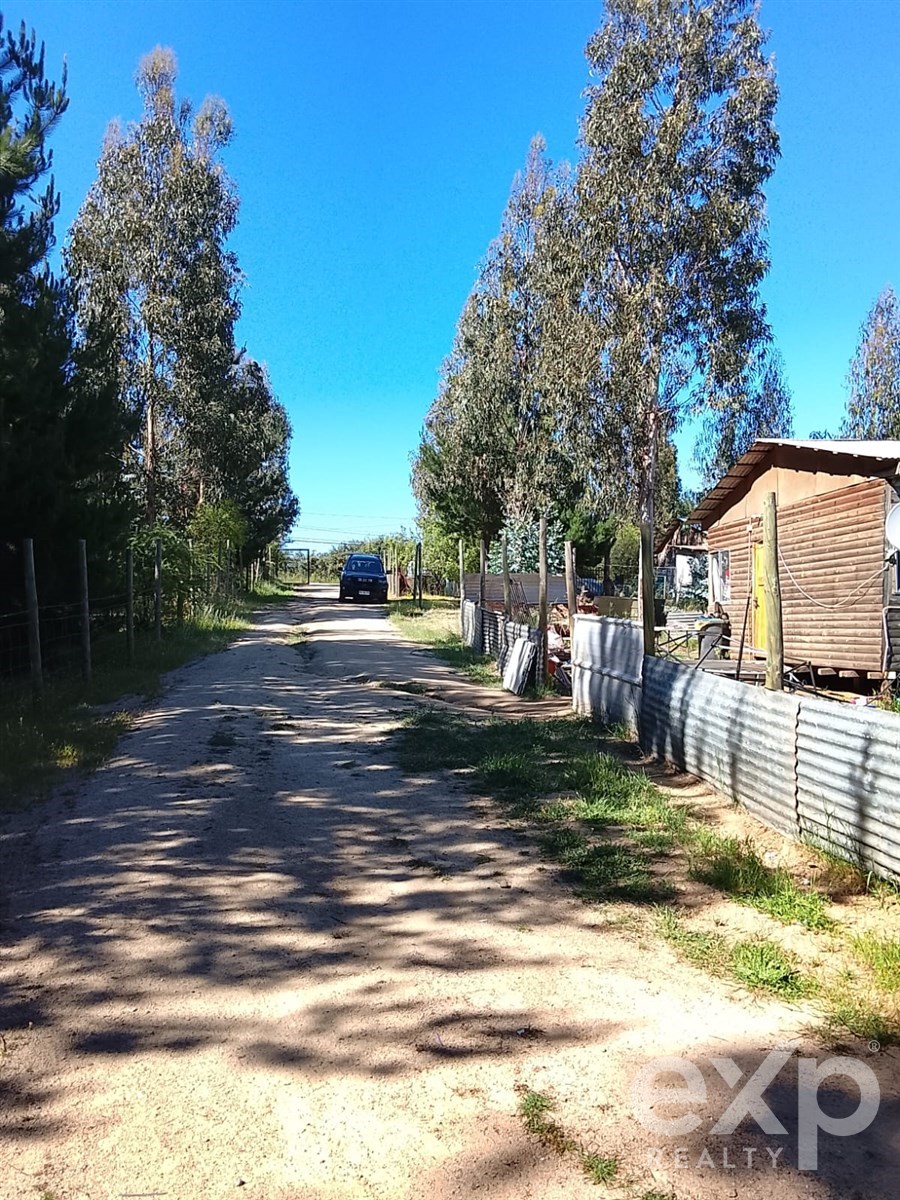 Sitio en Litueche